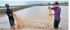 3a. Reading - Unit 3. Global warming & Ecological systems - SBT Tiếng Anh 11 Bright 0 1