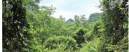 3a. Reading - Unit 3. Global warming & Ecological systems - SBT Tiếng Anh 11 Bright 0 6