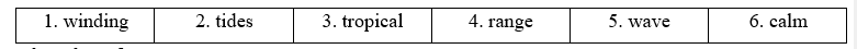4.1. Vocabulary - Unit 4. Planet Earth - SBT Tiếng Anh 11 English Discovery 2 2