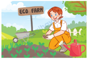 Đề thi học kì 2 Tiếng Anh 5 Global Success - Đề số 4 1 2