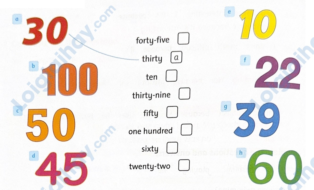 Starter: Back together! - SBT Tiếng Anh 5 - Family and Friends 5 1
