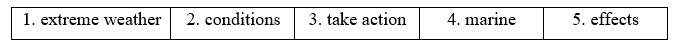 Tiếng Anh 11 Vocabulary Expansion Unit 3 0 2