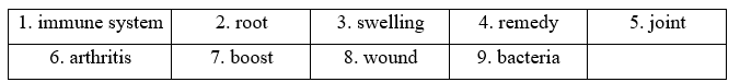 Tiếng Anh 11 Vocabulary Expansion Unit 8 0 2