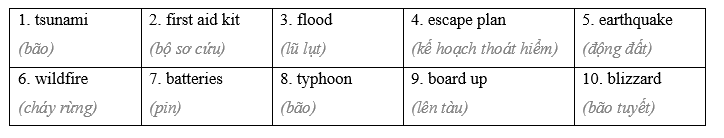 Tiếng Anh 8 Unit 4: Review 2 2