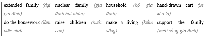 Tiếng Anh 9 Unit 1 1f. Skills 0 1