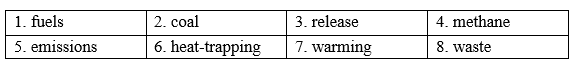 Vocabulary - Unit 5. Global warming- SBT Tiếng Anh 11 Global Success 0 2