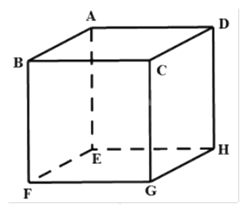 Đề thi học kì 1 Toán 12 Chân trời sáng tạo - Đề số 4 0 5